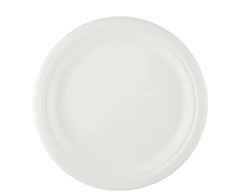 Bio Degradable Plate - 9 inch (500 pcs)